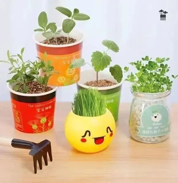 微信图片_20240313090203