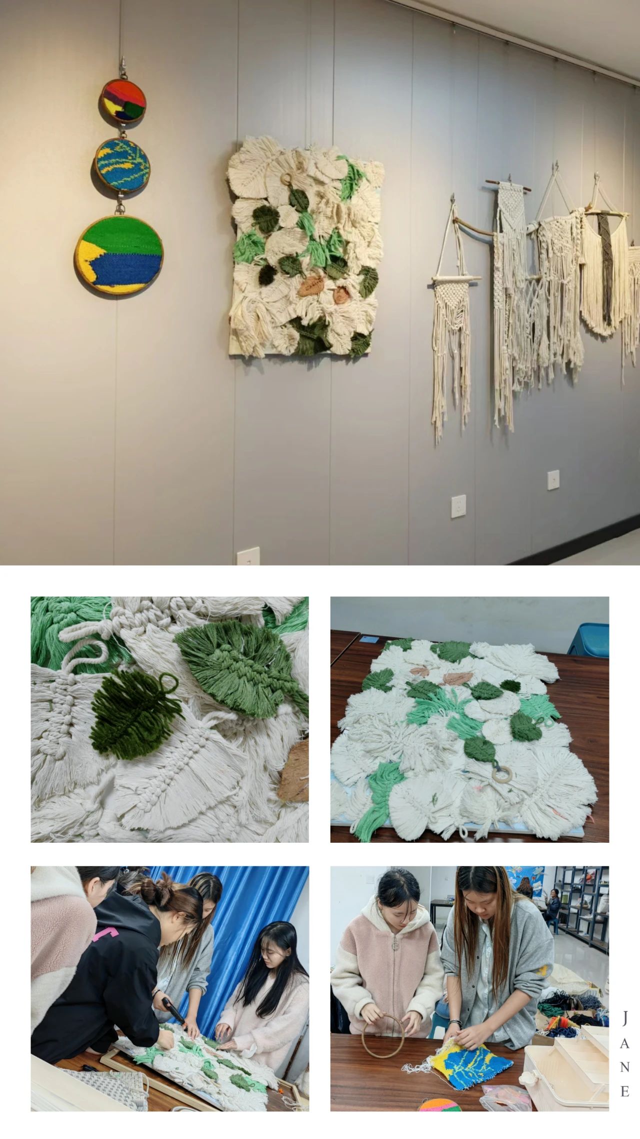 微信图片_20241127081604