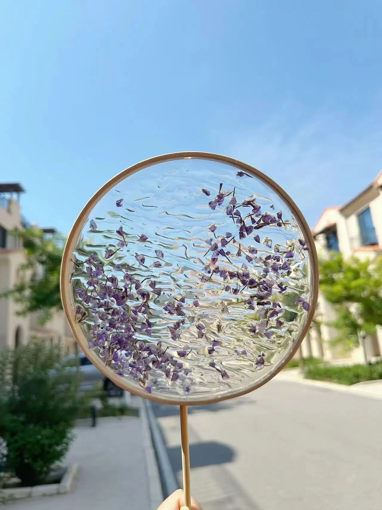 微信图片_20241127081658