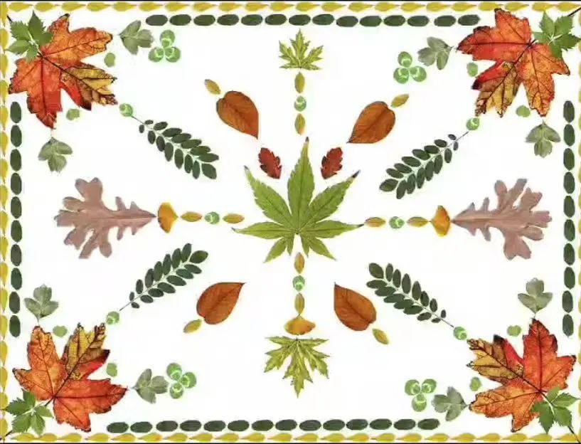 微信图片_20241214135532