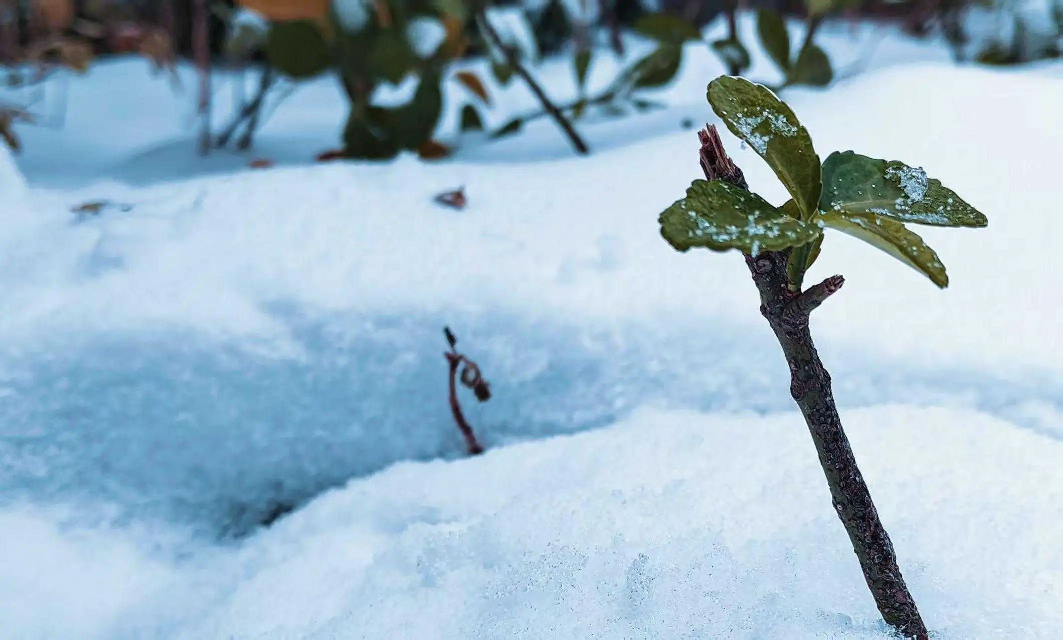 微信图片_20250427160933