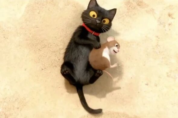 微信图片_2025-10-28_093959_321